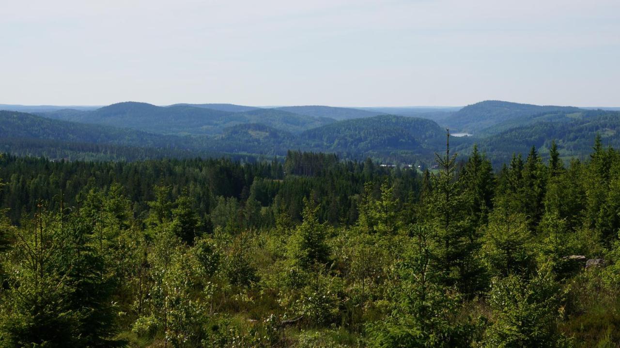 Bjoernvalsfallet Deje Luaran gambar