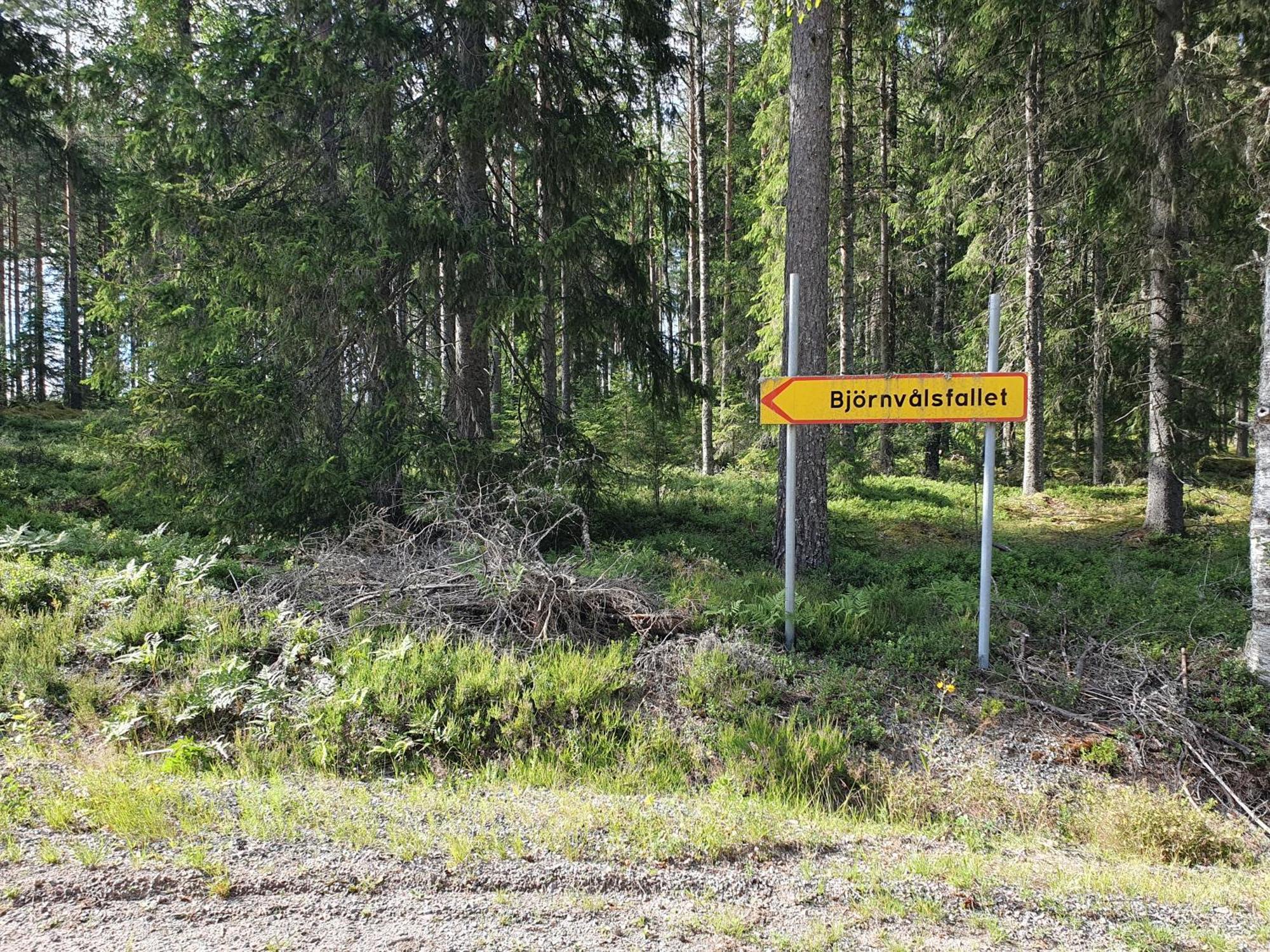 Bjoernvalsfallet Deje Luaran gambar